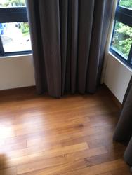 Sanctuary Green (D15), Condominium #156247972